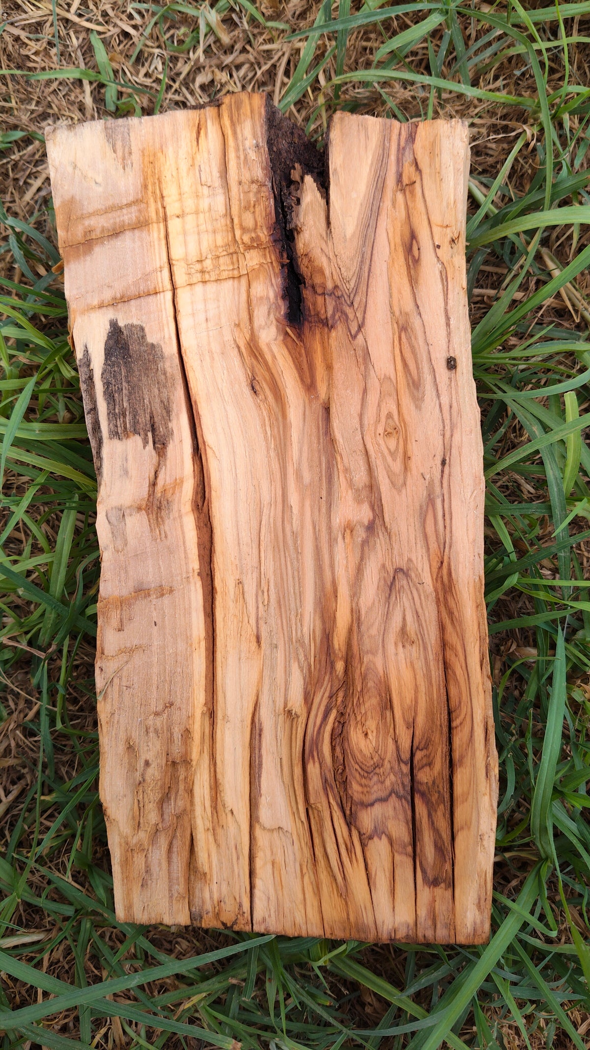 Textura de madera con veta abierta y nudos