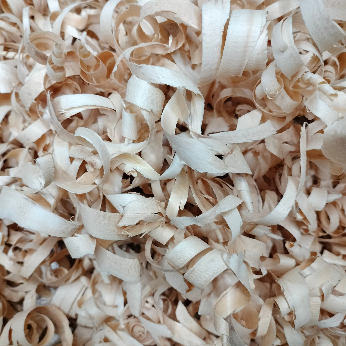 Textura de virutas de madera del taller